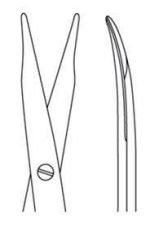 Jameson Dissecting Scissors - Delicate - Image 2