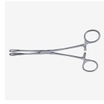 Rampley Sponge Holding Forceps